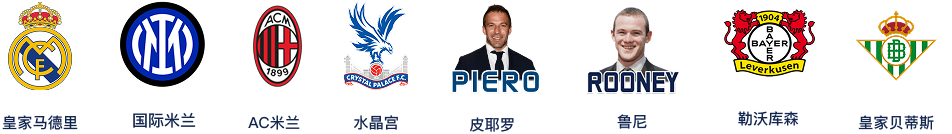 Hero Logo Strip